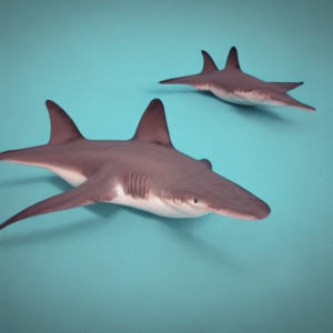 How Many Bones Does A Shark Have | Jacks Of Science