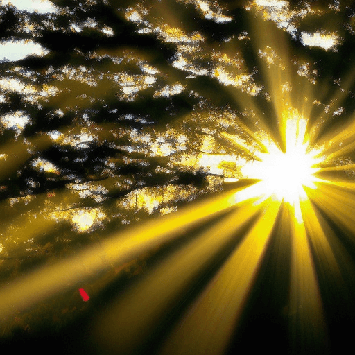 sunlight Light Energy Examples